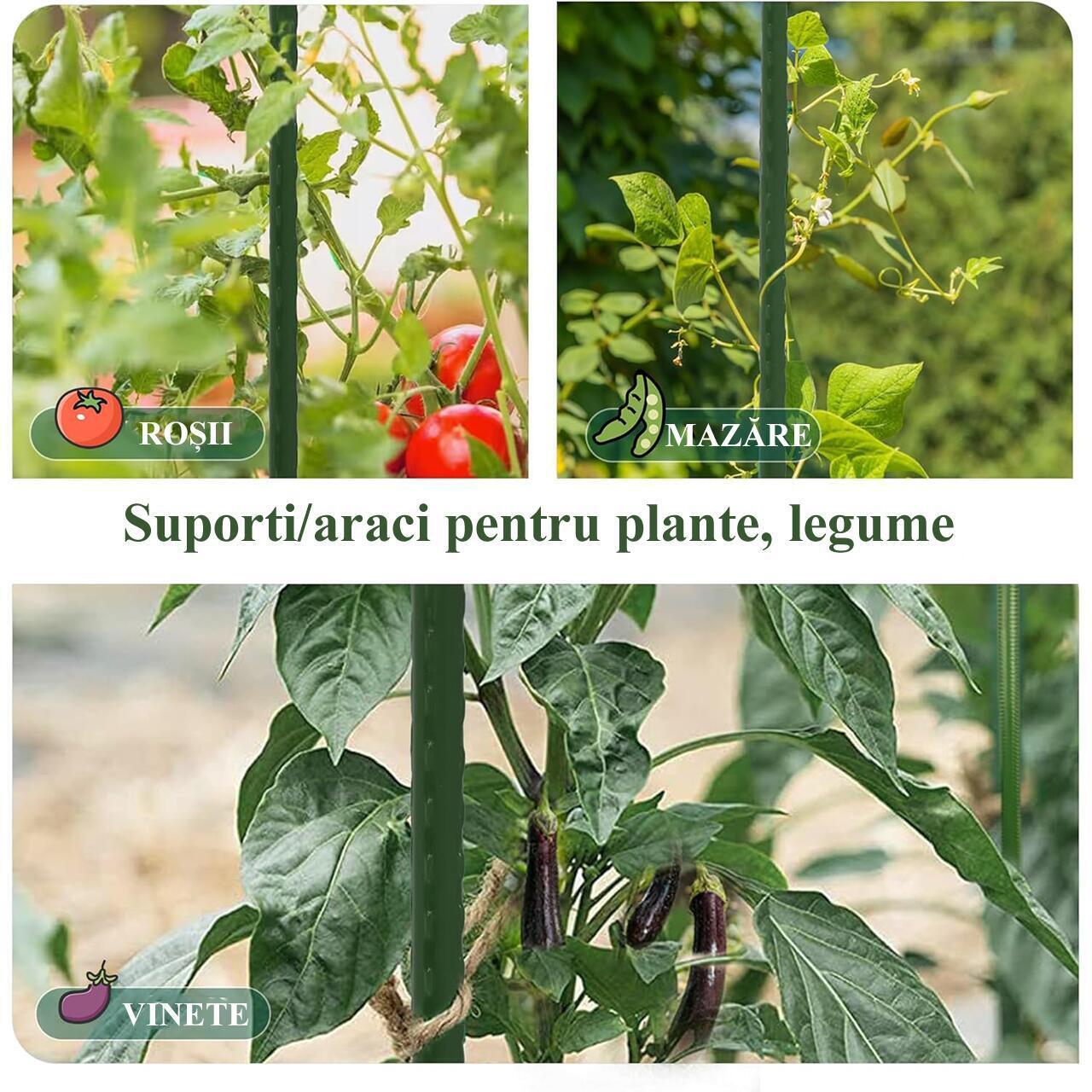 Suport/arac pentru plante, rosii, metal + PVC, verde, 1.1x90 cm, Artool 4 Suport/arac pentru plante, rosii, metal + PVC, verde, 1.1x90 cm, Artool - imagine 4